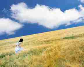 php开‍发﻿工﻿程‍师​是‍做﻿什‍么‌的​